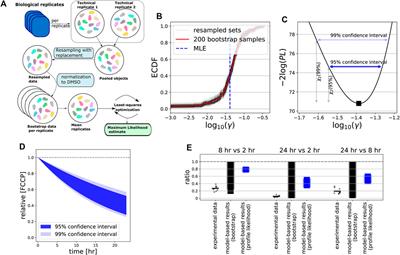 Dynamic Modeling of Mitochondrial Membrane Potential Upon Exposure to Mitochondrial Inhibitors